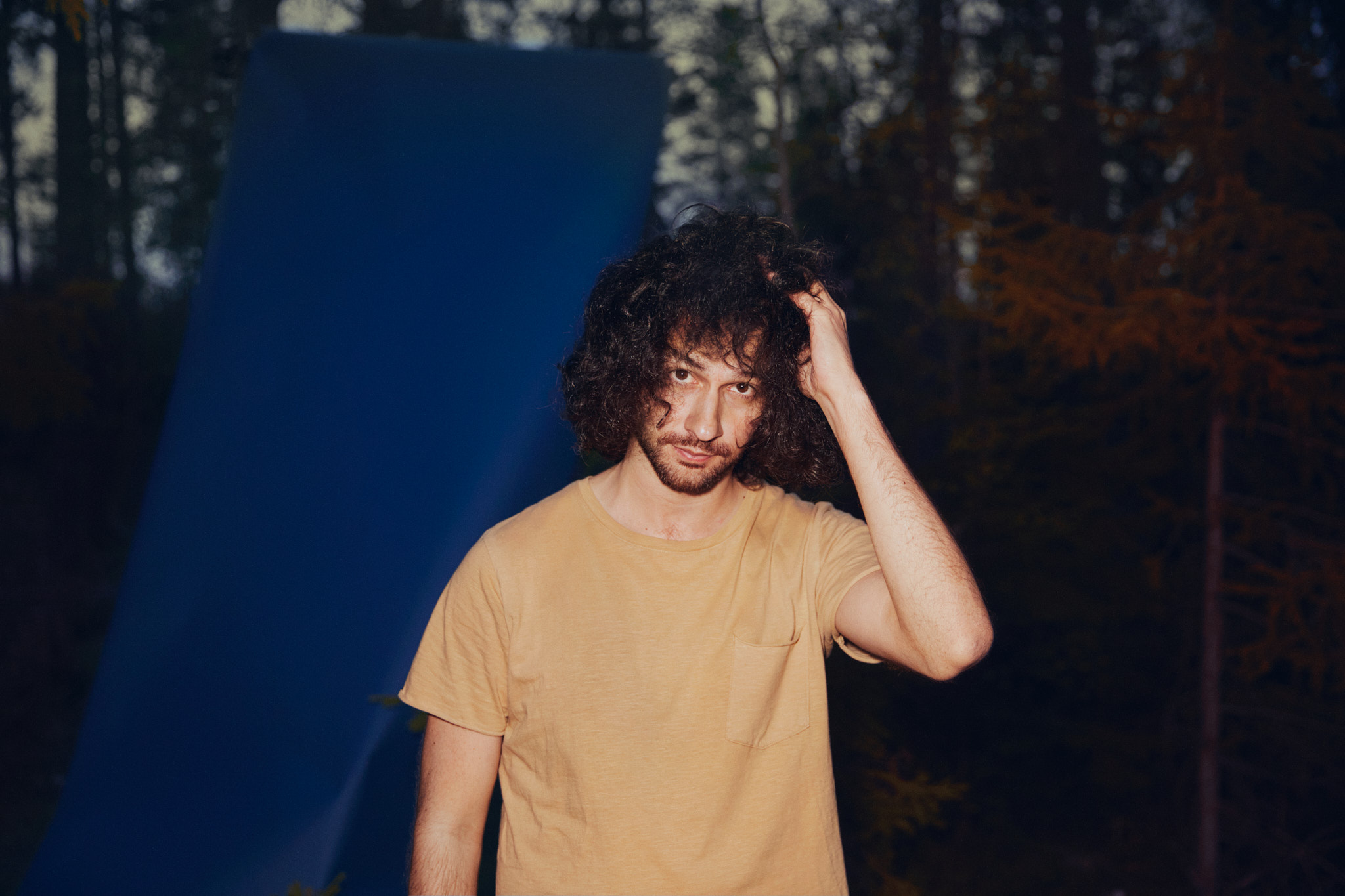 Aleksander in the forest